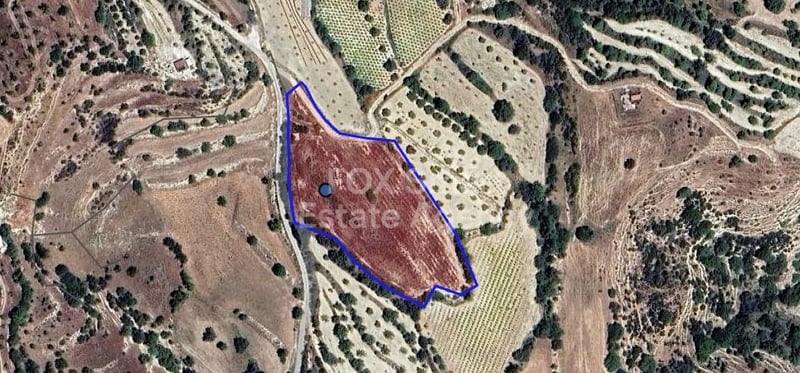 Land in Kallepia - view 1