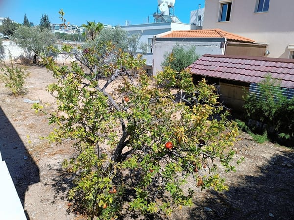 Land in Mesa Geitonia - view 1