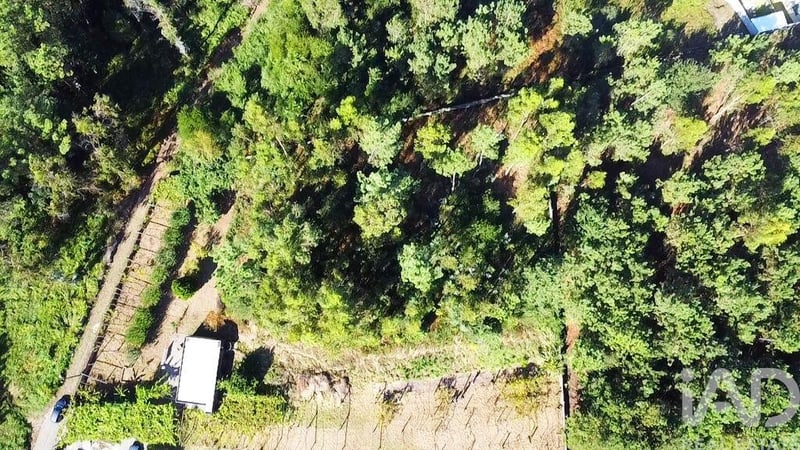 Land in Forjaes - view 1