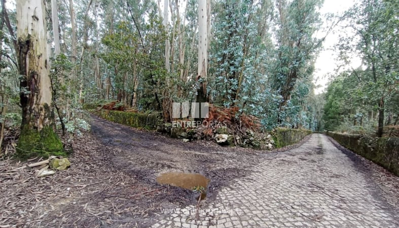 House in Vila do Conde - view 1