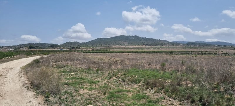 Land in Pinoso - view 1