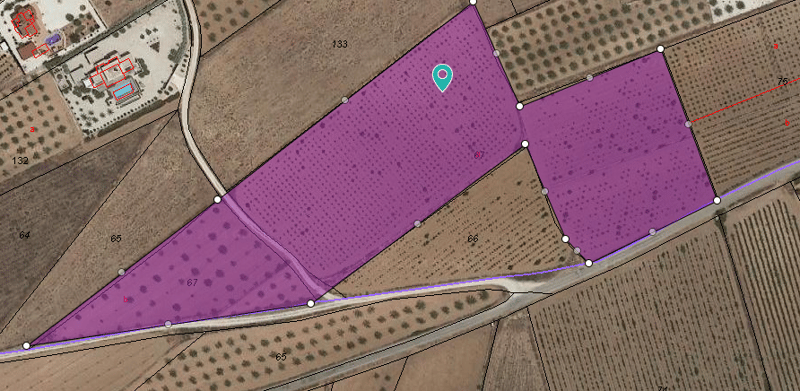 Land in Pinoso - view 1