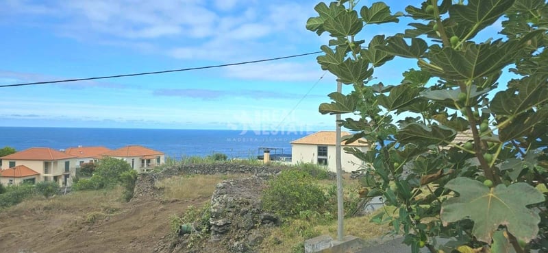 Land in Ponta Delgada - view 1
