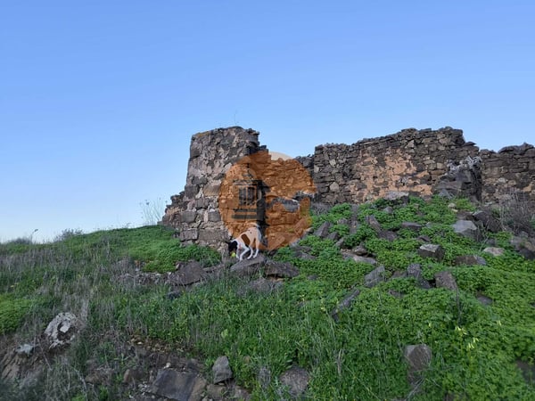 Land in Castro Marim - view 1