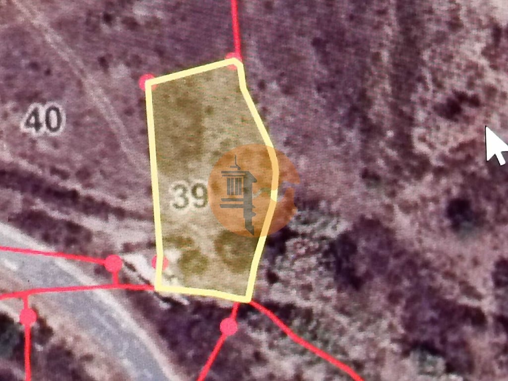 Land in Castro Marim - Image 2