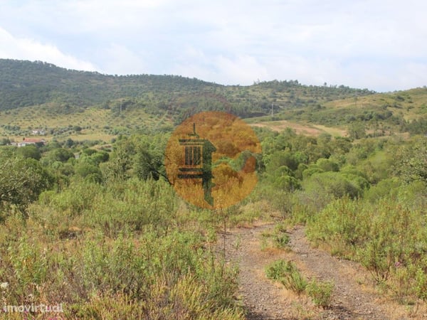 House in Sao Bartolomeu de Messines - view 1