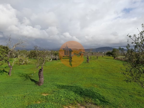 Land in Olhao - view 1