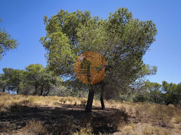 Land in Castro Marim - view 1
