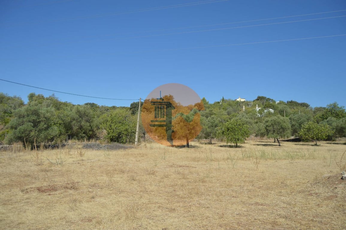 Land in Aceifaos