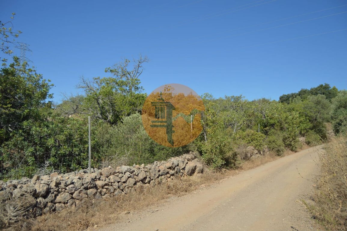 Land in Aceifaos - Image 3