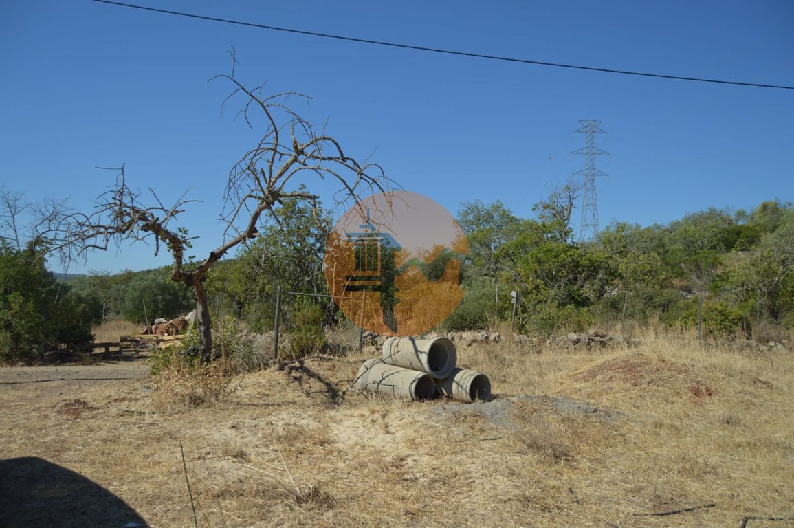Land in Aceifaos - Image 2