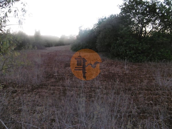 Land in Sao Bartolomeu de Messines - view 1