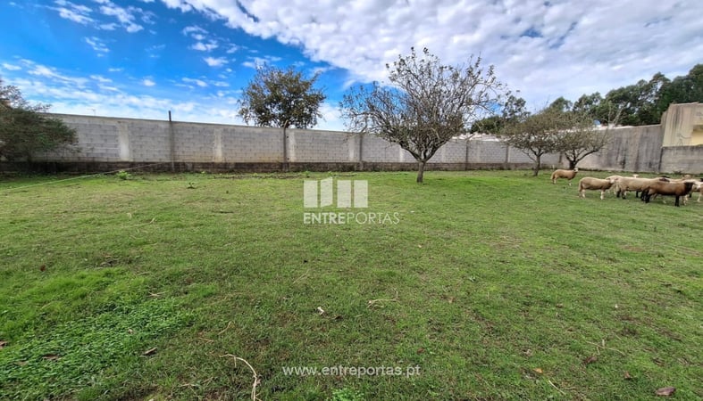 House in Canidelo - view 1