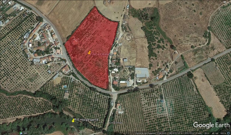 Farm, Ranch or Equestrian in Cadiz - view 1