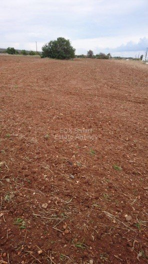 Land in Agios Theodoros - Image 3