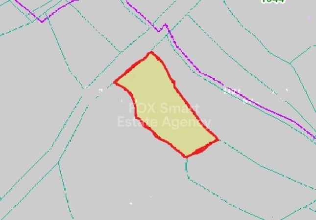 Land in Pegeia - view 1