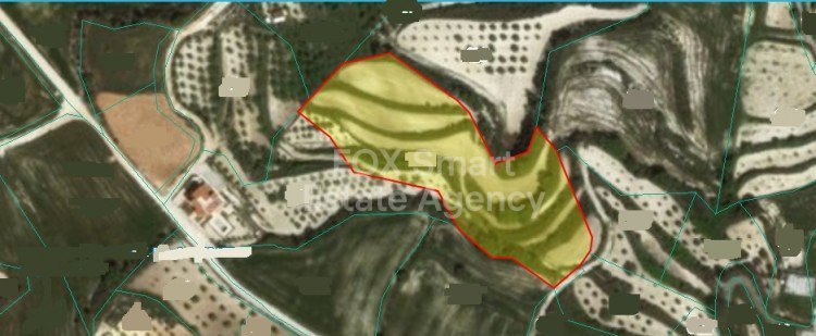 Land in Kallepia - view 1