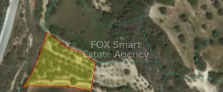 Land in Drouseia - view 1