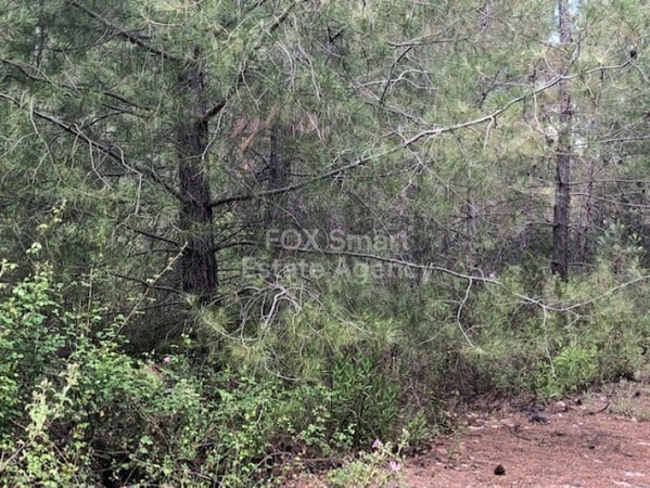 Land in Kato Platres - view 1