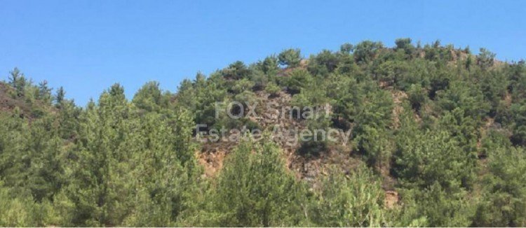 Land in Kato Platres - view 1