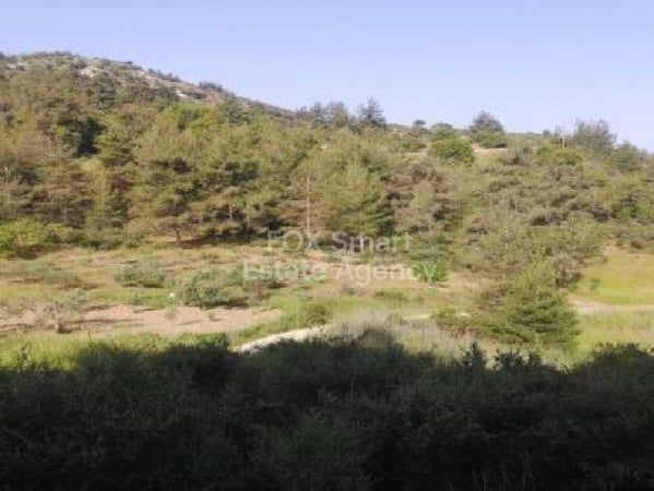 Land in Pano Panagia - view 1