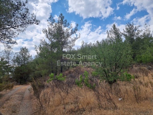 Land in Pano Platres - view 1