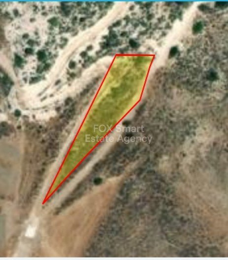 Land in Pegeia - Image 2