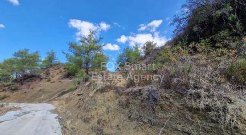 Land in Kato Platres - view 1