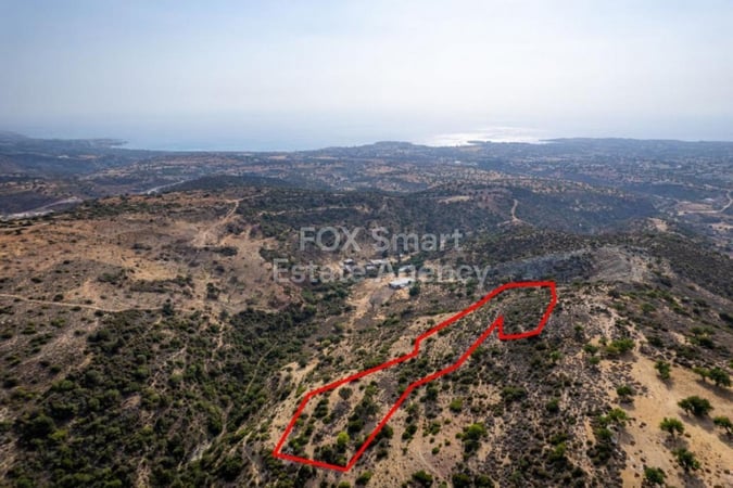 Land in Pegeia - view 1
