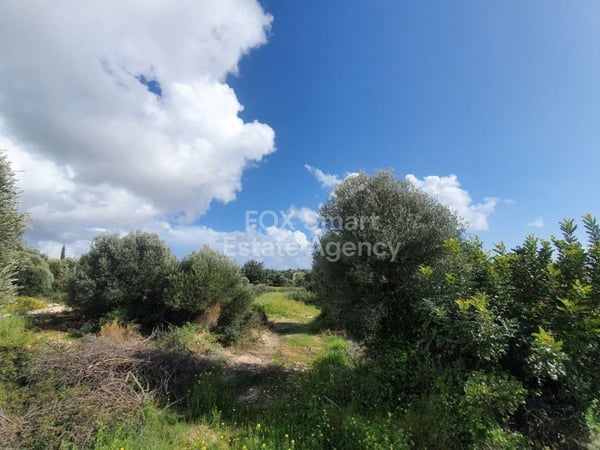 Land in Kouklia - view 1