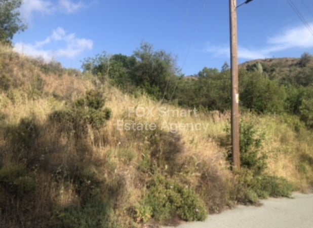 Land in Kato Platres - view 1