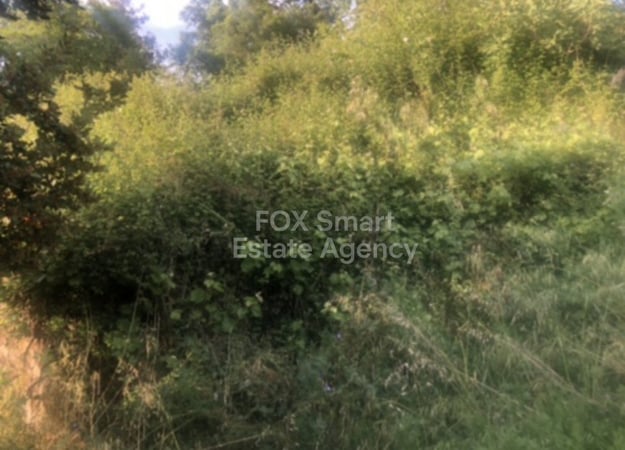 Land in Pano Platres - view 1