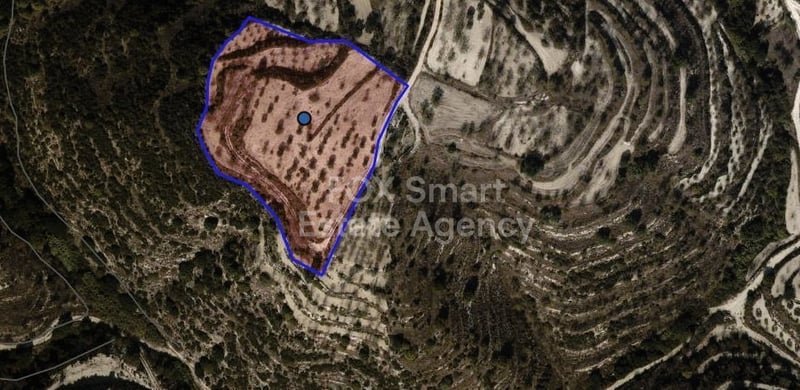 Land in Kallepia - view 1