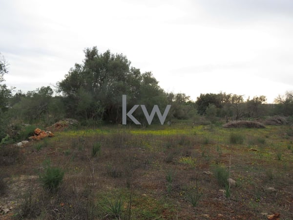 Villa in Silves - view 1