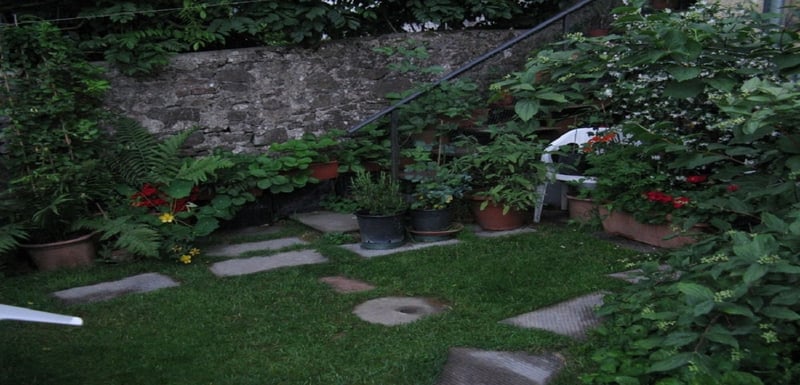 Villa in Pistoia - view 1