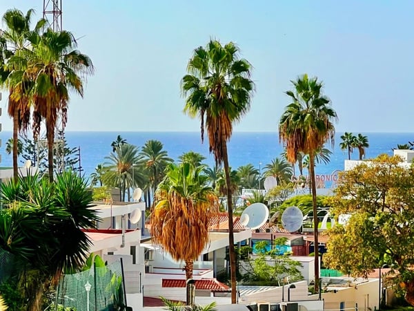 House in Playa de las Americas - view 1