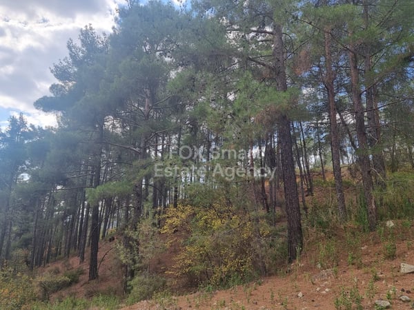 Land in Pano Platres - view 1