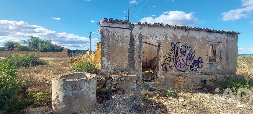 Land in Pera - Image 2