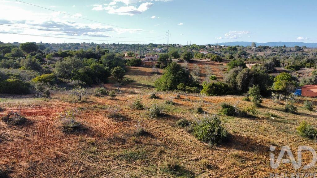 Land in Pera - Image 3