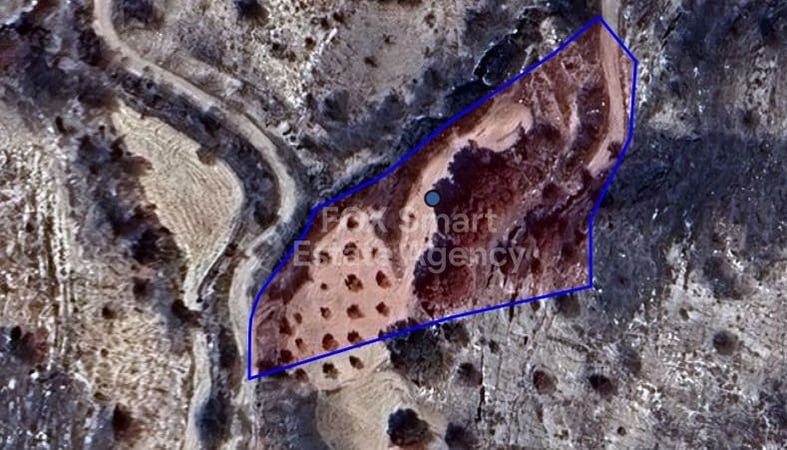 Land in Polemi - view 1