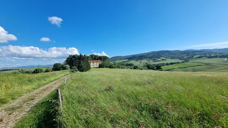 House in Lajatico - view 1