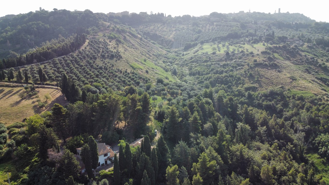 House in Volterra - Image 2