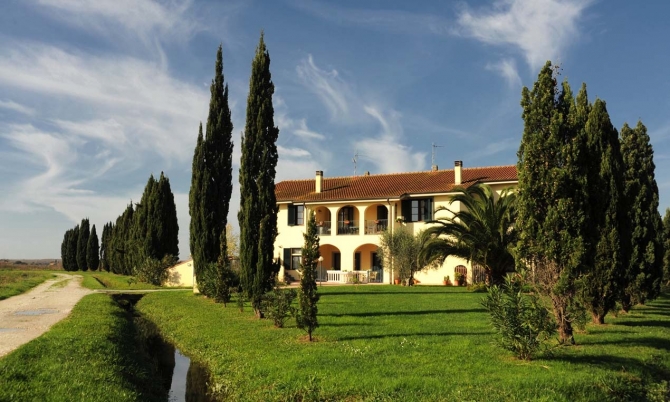 House in Vecchiano - view 1