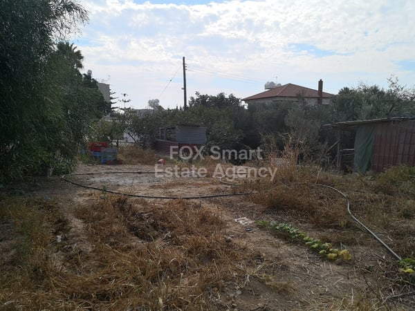 Land in Mari - view 1