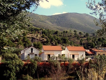Villa in Cisano sul Neva - view 1