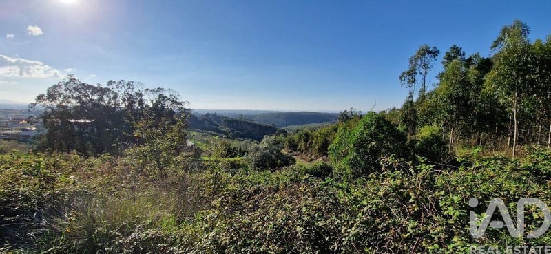 Land in Igreja Nova - view 1