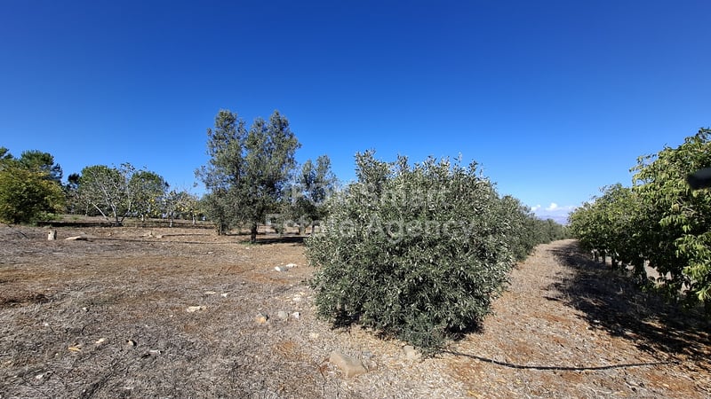Land in Agios Ioannis - view 1