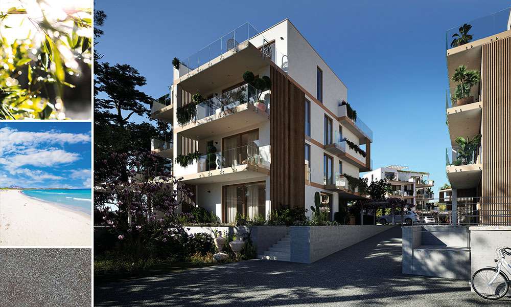 House in Casa Azara - Image 2