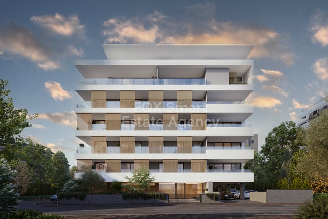 Apartment in Ayioi Omoloyites - view 1