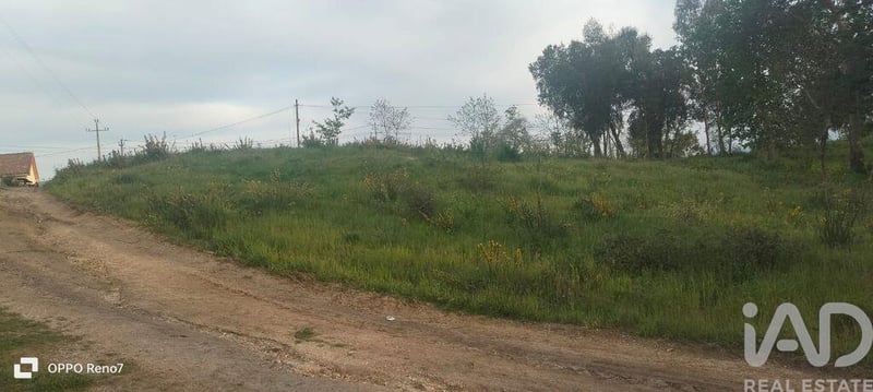 Land in Santo Isidoro - view 1